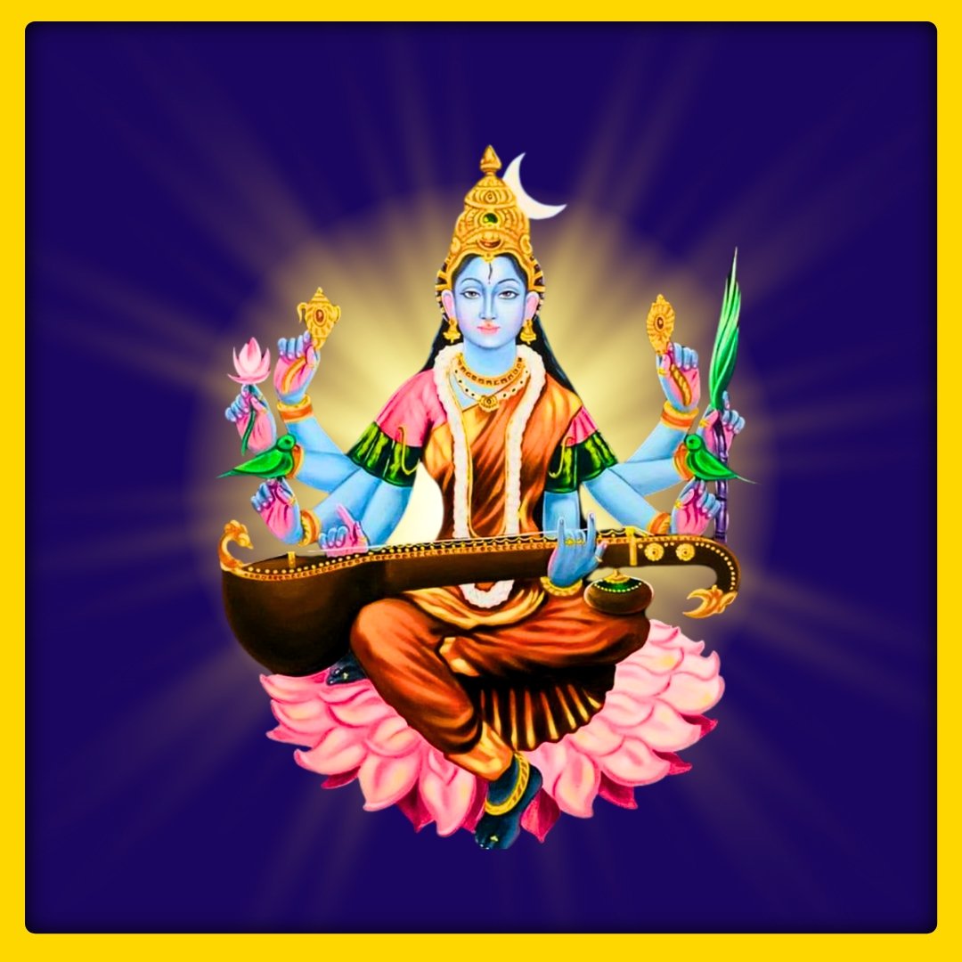 SDRSER95381 - 1763014077.jpg